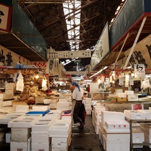 fish market tokyo Tsukiji