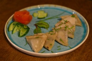 vegetarian dumplings amsterdam (2)