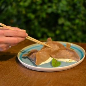 vegetarian dumplings amsterdam